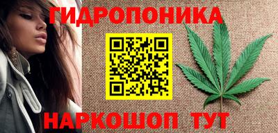 метадон Аргун